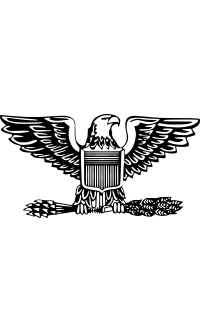 Rank Insignia
